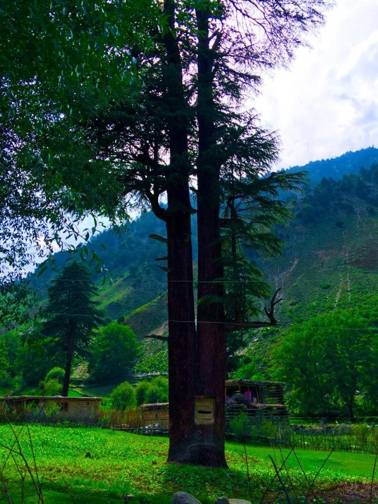 Chitral Inn Resort Bagian luar foto