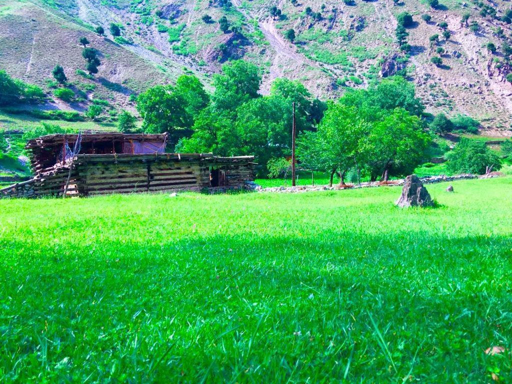 Chitral Inn Resort Bagian luar foto